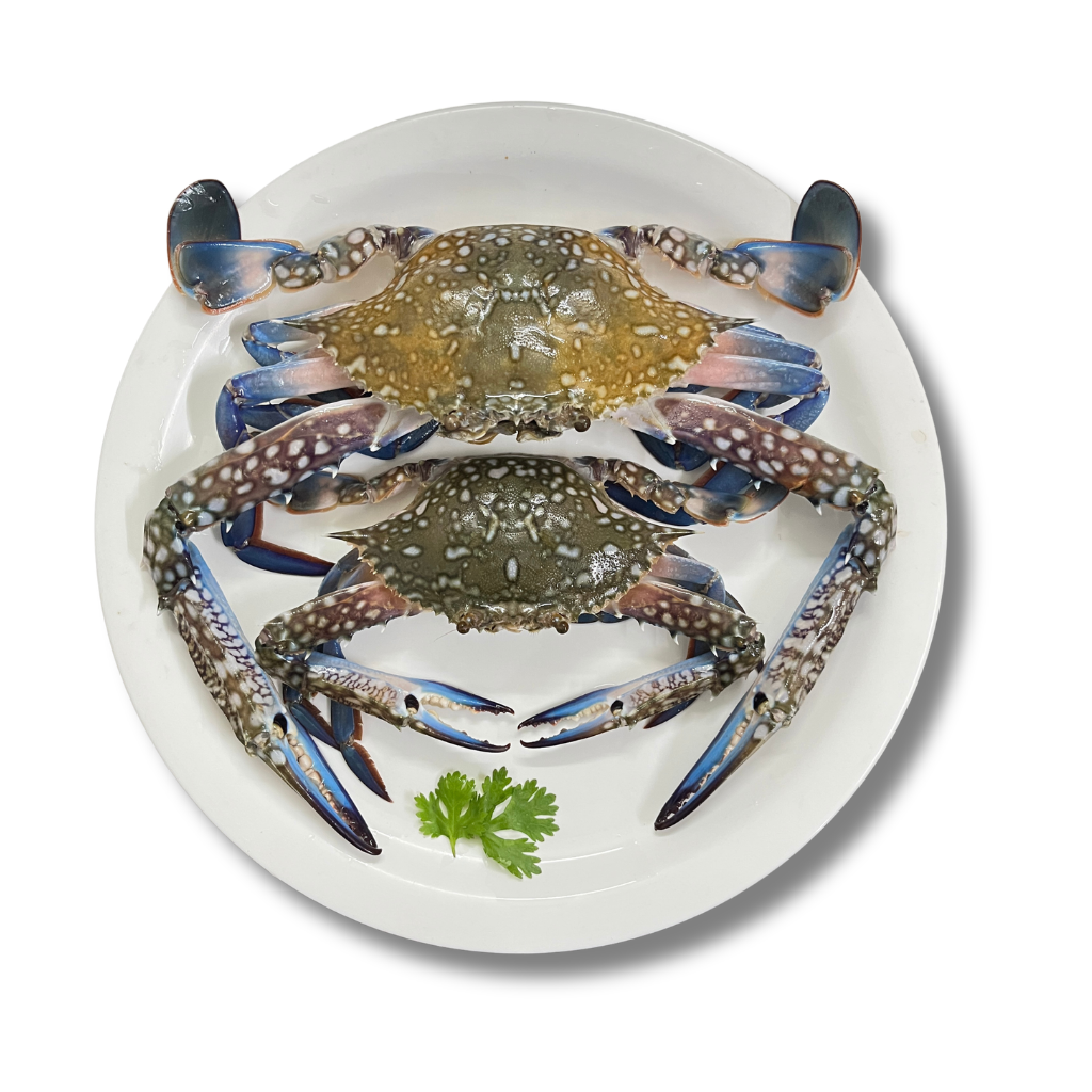 Blue Crab(500g)