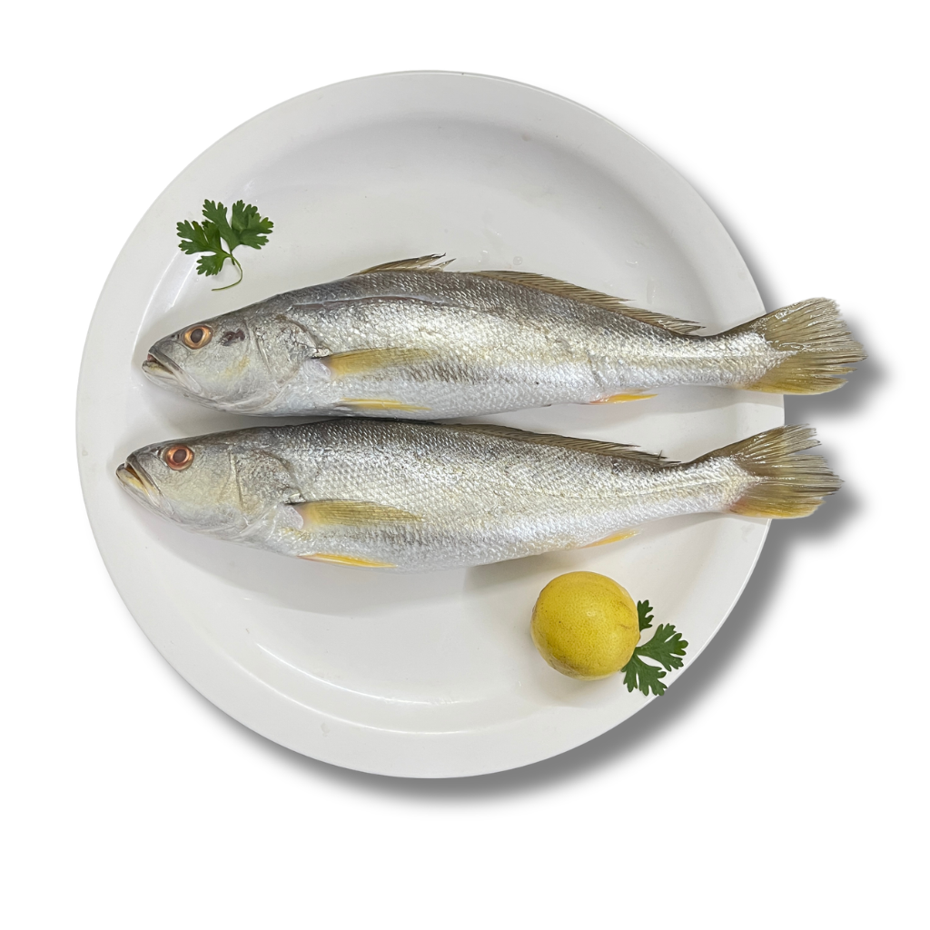 Croaker/Koddai - 500g