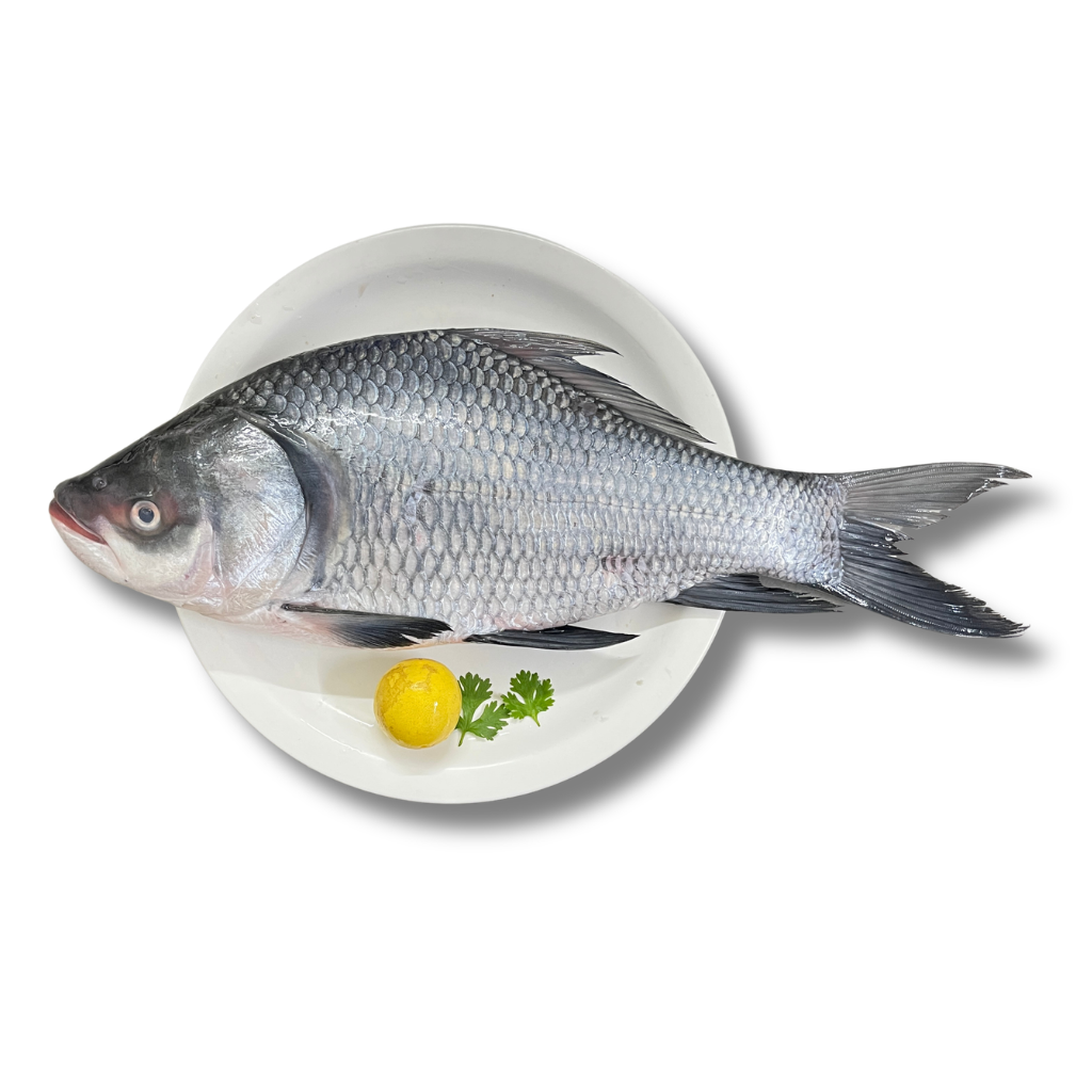 Fresh Catla (1 Kg)