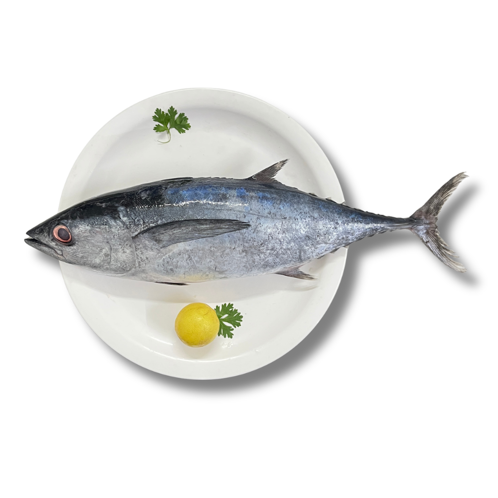Small Tuna (Whole – 1 kg)