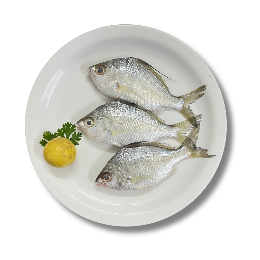 Silver Biddies/Hole Baige (Whole – 500 g)