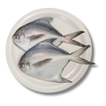 White Pomfret (500 g)