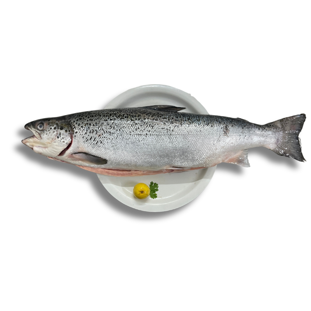 Atlantic Salmon cut pieces - 250g