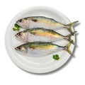 Mackerel/Bangada/Ayla (500g)