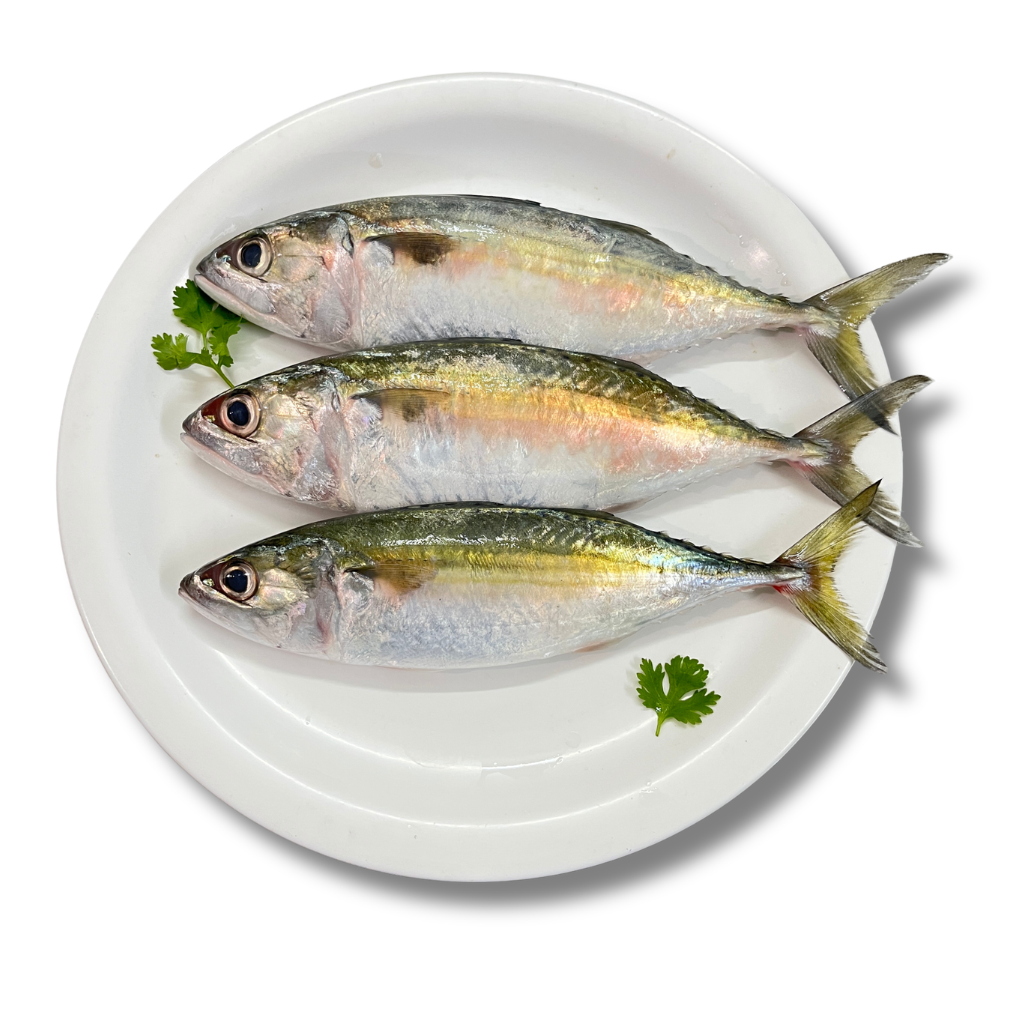 Mackerel/Bangada/Ayla (500g)