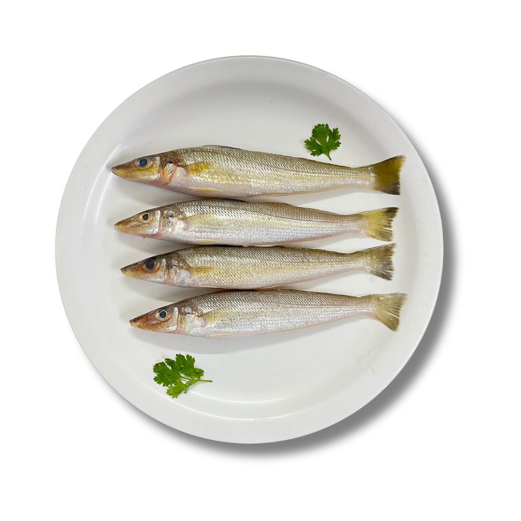 Lady Fish/Kane - 250g