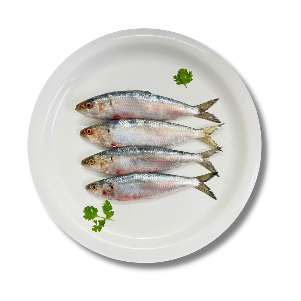 Sardine (Mathi) Big - 250g
