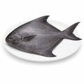 Black Pomfret(500g)