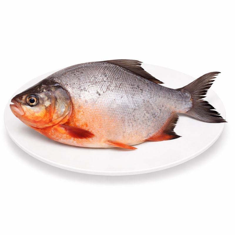 Roopchand / River Pomfret(1 Kg)