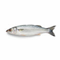 Mullet Small/Parshae (250g)