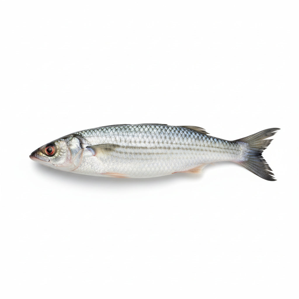 Mullet Small/Parshae (250g)